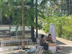 -桉树林A coffee 森林餐厅(三圣乡店)