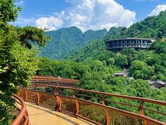 -少华山国家森林公园