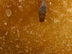 -爸爸糖吐司面包(悠唐购物中心店)