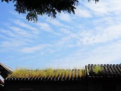 -三里河公园