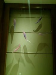 -海航威斯汀酒店·宴会厅