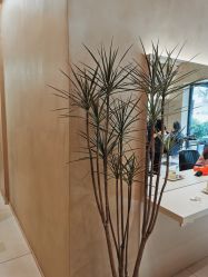 点击看大图 -Garden花園造型