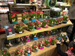 -酷乐潮玩(颛桥万达店)