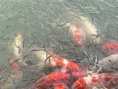 -淹城春秋乐园