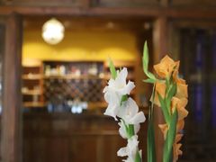 -松赞拉萨林卡酒店