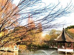 -上海醉白池公园