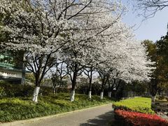 -昆山城市公园