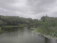 -同里国家湿地公园