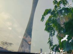 -广州都市观光巴士(粤陶巴)