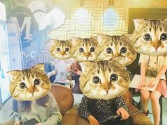 -谜·沉浸侦探剧本杀推理馆(静安店)