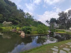 -云溪植物园