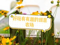 -前小桔亲子创意农场·草莓采摘·露营烧烤