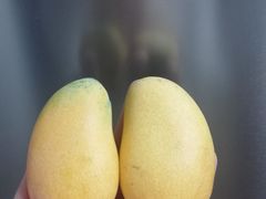 -百果园(愉景南苑店)