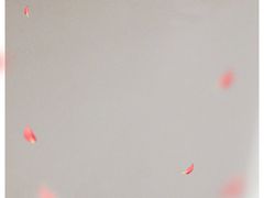 -醉美东江·三文鱼·烧鸡公