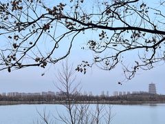 -灞河西岸滨河公园