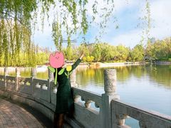 -迎泽公园