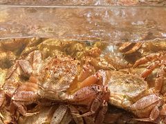 -东海怡品海鲜豆捞(星街坊店)