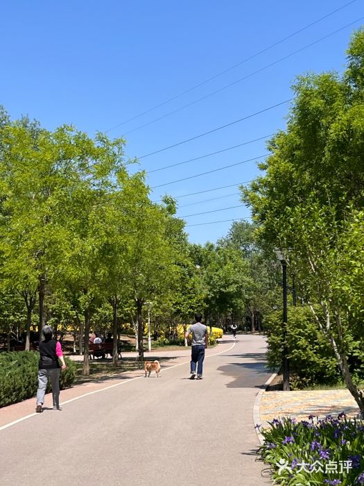 坝河休闲公园图片