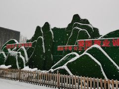 -莲花池公园