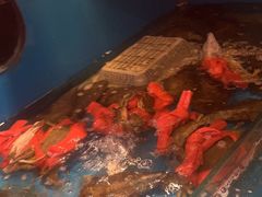 -粤香楼(新光里店)