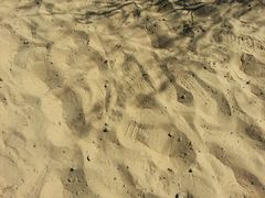 -亿利库布其七星湖沙漠生态旅游区