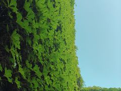 -肴约·花园式餐厅(湖里店)