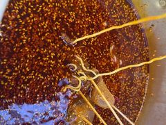 -徐妹串串香(春熙路店)