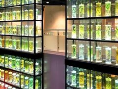 -广东中医药博物馆