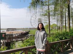 -太湖湖滨国家湿地公园-停车场