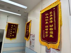 -中农国际动物医院24小时·猫科·骨科·急重症中心