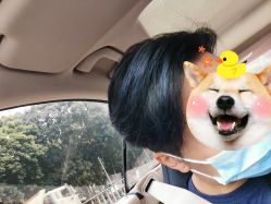 -Amo la Diva造型