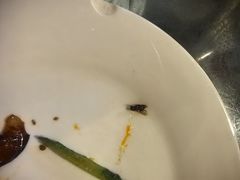 -大鹅岛绿色生态美食园