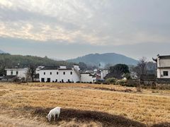 -塔川景区