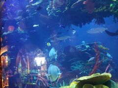 -迪拜帆船酒店海底餐厅