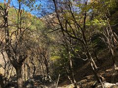 -红崖峡谷景区