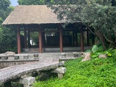 -深圳国际园林花卉博览园