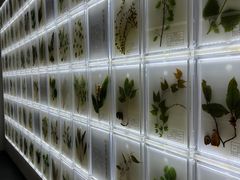 -广东中医药博物馆