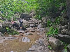 -国家植物园南园