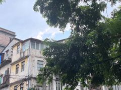 -清平中药材专业市场