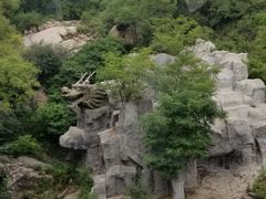 -黄金寨原生态旅游区