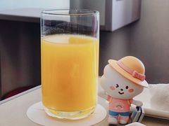 -海南海航航空信息系统公司