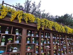 -小时候2013(瀚新店)