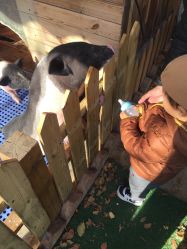 -萌宠亲子动物乐园(槐房万达店)