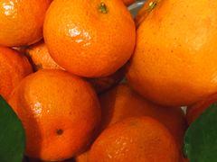 沃柑-盒马鲜生(悠方店)