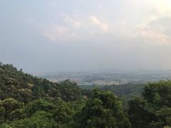 -火炉山森林公园