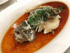 清蒸笋壳鱼-麟1929(外滩店)