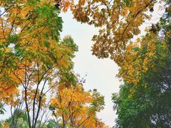 -牛岗山公园