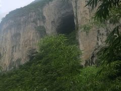 -杨姨妈丝娃娃(花果园店)