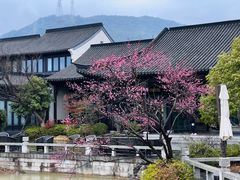 -春色如许·茶食餐厅(桃李春风店)