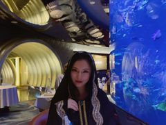 -迪拜帆船酒店海底餐厅